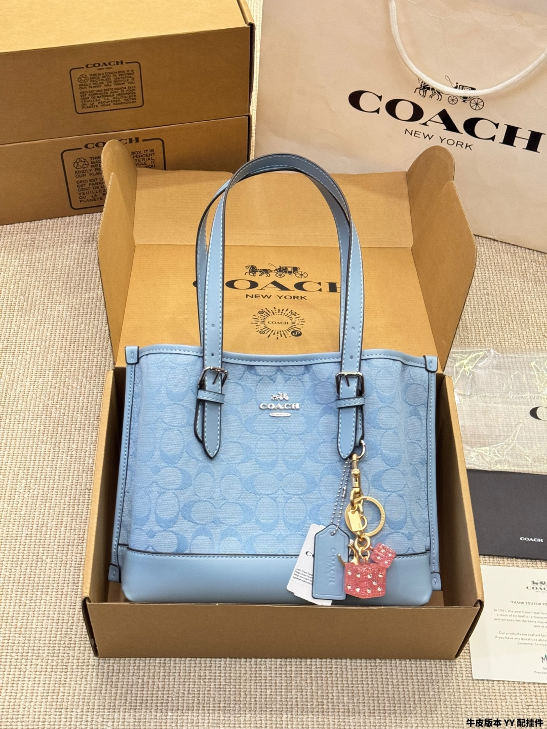 coach bag 405